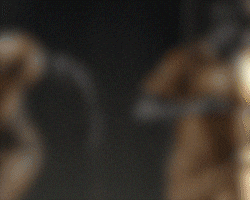 먹튀방콕 보증업체 이지벳